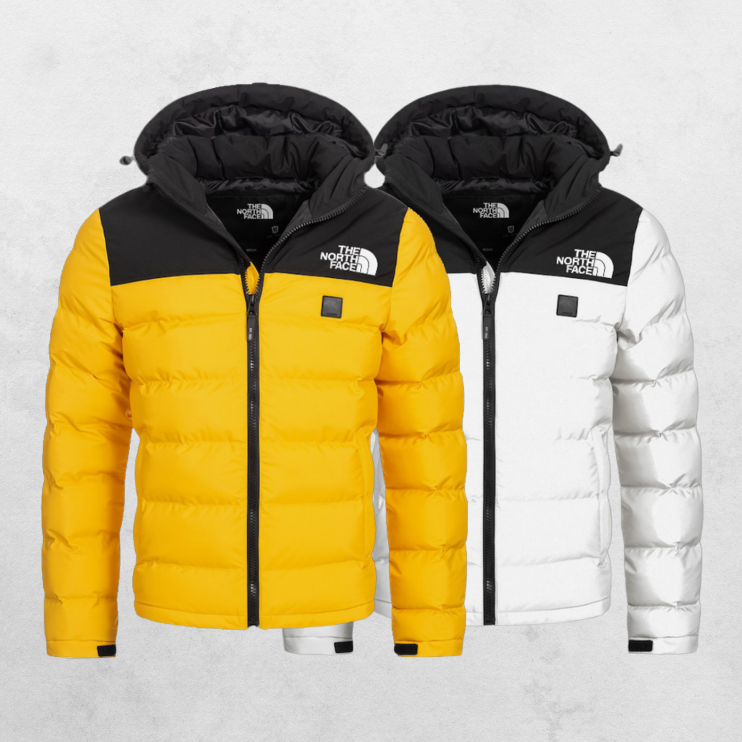 2 VESTES - THE NORTH FACE 1996 RETRO NUPTSE SUMMIT